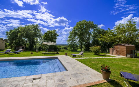 Gli Ulivi: Boom, Zwembad, Tuin, Schaduw, Landscaping, Gazon, Landgoed, Backyard, Werf, Ontwerp