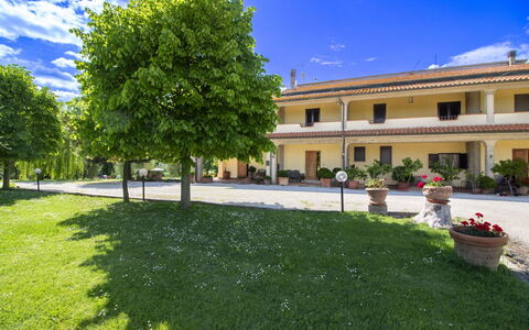 Gli Ulivi