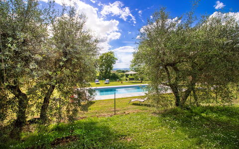 Gli Ulivi: Gazon, Tuin, Weide, Schaduw, Park, Landscaping