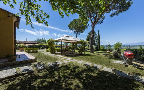 Villa Quintino: Struik, Tuin, Schaduw, Landscaping, Werf, Stoel, Flagstone, Buitenmeubels, Backyard, Eco Hotel