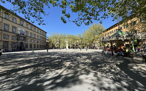 Alla Torre: Boom, Weg Oppervlak, Openbare Ruimte, Stad, Straat, Stadsplein, Menselijke Nederzetting, Schaduw, Plein