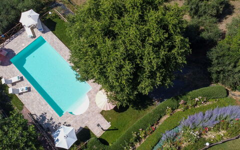Casa dei Nonni: Zwembad, Tuin, Vrije Tijd, Toevlucht, Gazon, Landgoed, Backyard, Landscaping, Schaduw, Werf
