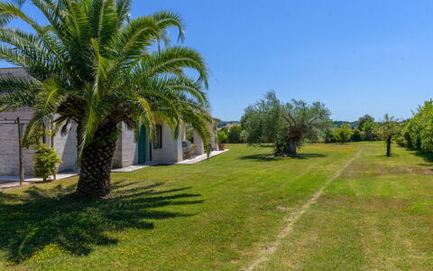 La Sorgente: Struik, Tuin, Woody Plant, Gazon, Landscaping, Landgoed, Oprit, Hacienda, Schaduw