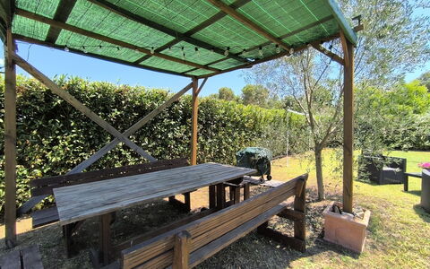 Scarlino 35: Hout, Schaduw, Outdoor Structuur, Buitentafel, Openluchtbank, Canopy, Tuin, Buitenmeubels, Beits, Prieel