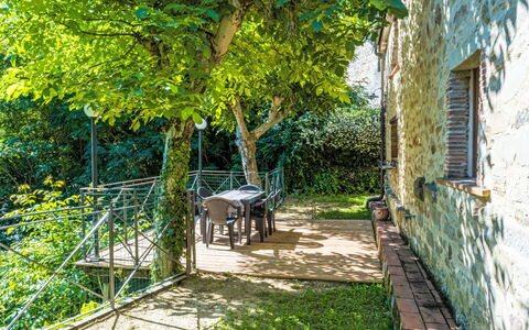 Fibbialla: De Lente, Tuin, Backyard, Schaduw, Werf, Hek, Fiets Voorvork, Fiets