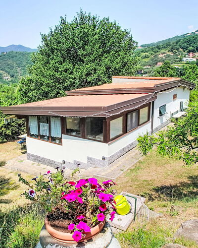 La Casa di Menny: Meubilair, Buitenmeubels, Stoel, Tuin, Beits, Gazon, Hardwood, Schaduw, Backyard