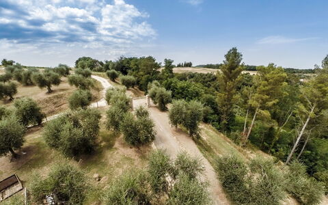 Villa Larino: Boom, Vegetation, Natuurlijk Landschap, Plantengemeenschap, Land Lot, Plain, Trail, Veld, Bodem