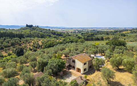 Casale delle Lupe, Campiglia Marittima: Boom, Gras, Natuurlijk Landschap, Landschap, Landelijk Gebied, Grasland, Land Lot, Plain, Plantengemeenschap