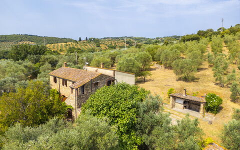 Casale delle Lupe, Campiglia Marittima: Gras, Boom, Struik, Landelijk Gebied, Plantengemeenschap, Land Lot, Landgoed, Verblijf, Dorp