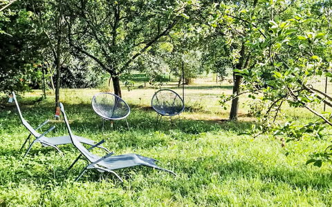 Il Pozzo dei Desideri: Groen, Gras, Tuin, Gazon, Groundcover, De Lente, Trunk, Zonlicht, Park