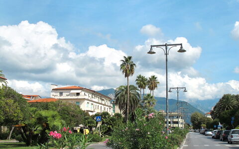 Marina di Massa 651: Lucht, Boom, Wolk, Doorgang, Straatlantaarn, Cumulus