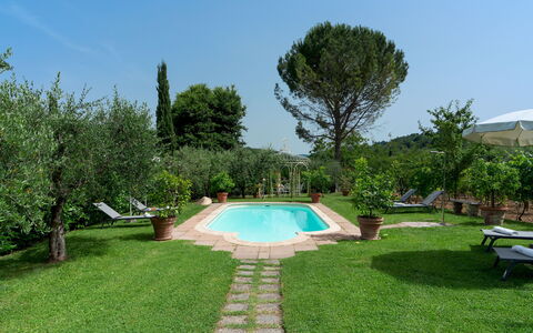 Villa Sorripa 6: Zwembad, Buitenmeubels, Tuin, Toevlucht, Backyard, Gazon, Hacienda, Landgoed, Eco Hotel, Landscaping