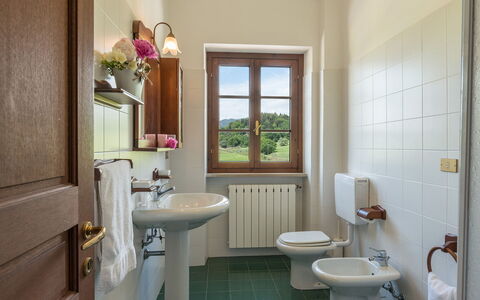 Podere Calcheto 14: Interieur Ontwerp, Flooring, Kamer, Verdieping, Plafond, Loodgieterswerkinrichting, Kraan, Loodgieter, Fotolijst, Kamerplant