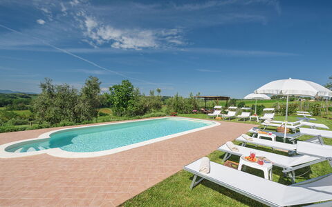 Poggio Vistabella 10: Zwembad, Tuin, Gazon, Buitenmeubels, Boerderij, Landgoed, Werf, Landscaping, Hacienda, Toevlucht