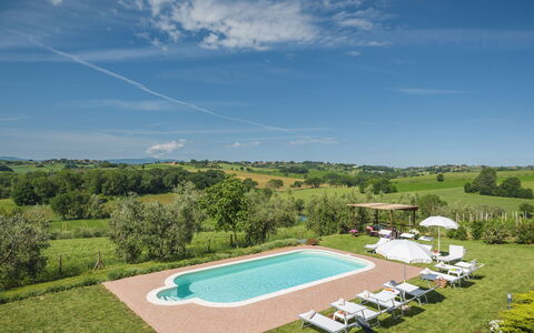 Poggio Vistabella 10: Zwembad, Weide, Landgoed, Gazon, Plantage, Boerderij, Boerderij, Landbouw, Villa, Hacienda