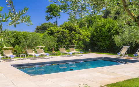 Villa Giomoa 8: Zwembad, Buitenmeubels, Meubilair, Toevlucht, Tuin, Schaduw, Ligstoel, Stoel, Landscaping, Eco Hotel