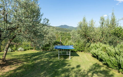 Buca delle Fate 8: Boom, Heuvel Station, Weide, Pasture, Evergreen, Ridge, Plantage, Pine Family