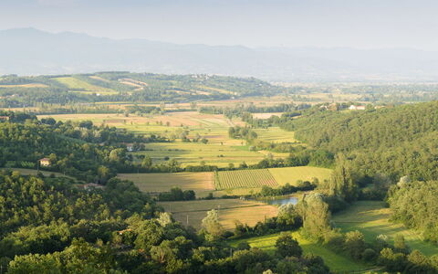 Villa Vittoria D'Anghiari 7+3: Groen, Natuurlijke Omgeving, Natuurlijk Landschap, Landschap, Ecoregio, Grasland, Plain, Hoogland, Veld, Land Lot