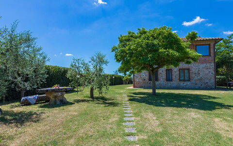 Poggio Medei 10: Lucht, Blauw, Gras, Grasland, Plain, Land Lot, Gazon, Tuin, Weide, Boerderij