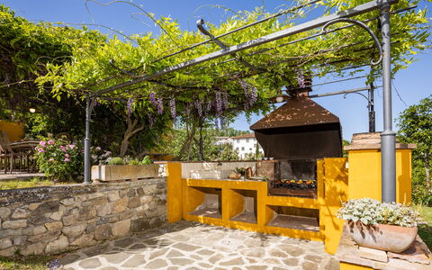 Le Querce dei Medici 12+2: Tuin, Schaduw, Bloempot, Hacienda, Backyard, Landscaping, Werf, Outdoor Structuur, Eco Hotel, Kamerplant