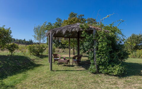 Villa Palazzaccio 26: Struik, Tuin, Schaduw, Outdoor Structuur, Prieel, Pergola, Landscaping, Paviljoen, Plantage
