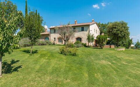 San Francesco 12: Gras, Grasland, Plain, Land Lot, Landelijk Gebied, Weide, Pasture, Landgoed, Gazon, Tuin