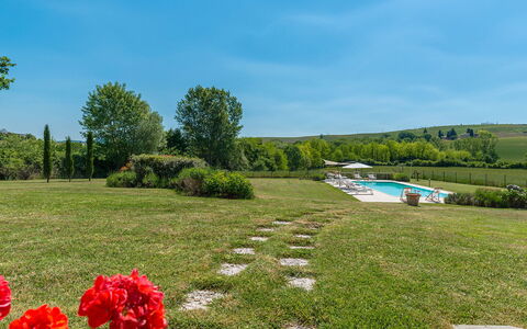 Alborata 10: Struik, Grasland, Plain, Land Lot, Tuin, Gazon, Weide, Plantage, Landscaping, Pasture