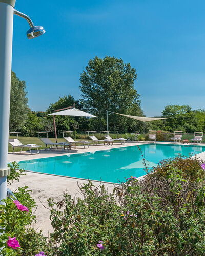 Alborata 10: Zwembad, Toevlucht, Tuin, Landscaping, Schaduw, Eco Hotel, Buitenmeubels, Landgoed, Park, Plantage