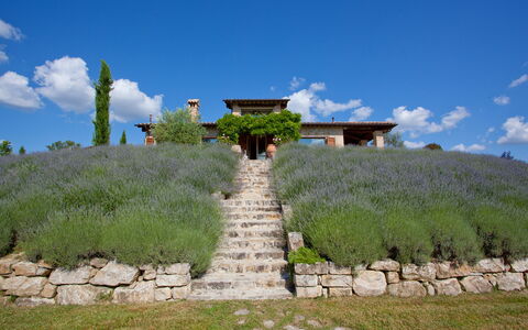 Casale delle Lavande 10: Struik, Plantengemeenschap, Land Lot, Tuin, Weide, Plantage, Shrubland, Landscaping, Lavendel