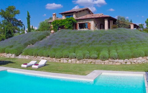 Casale delle Lavande 10: Struik, Tuin, Landscaping, Zwembad, Evergreen, Backyard, Werf, Plantage, Toevlucht