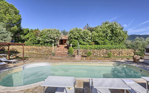 Virginia 8: Zwembad, Toevlucht, Buitenmeubels, Backyard, Hacienda, Eco Hotel, Tuin, Landgoed, Schaduw, Landscaping