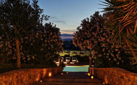 Virginia 8: Schemer, Verlichting, Avond, Nacht, Zonsondergang, Landschap Verlichting, Zwembad, Afterglow, Zonsopkomst, Tuin