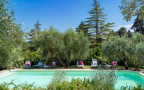 Villa Fiorentini 10: Struik, Tuin, Hacienda, Landscaping, Landgoed, Werf, Backyard, Buitenmeubels, Schaduw, Villa