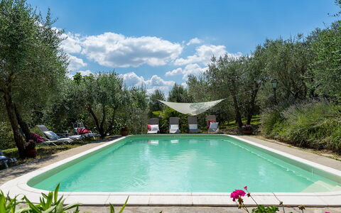 Villa Fiorentini 10: Zwembad, Buitenmeubels, Tuin, Backyard, Stoel, Werf, Landscaping, Toevlucht, Schaduw, Hacienda