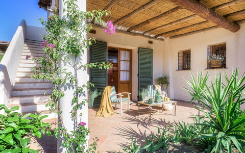 Villa Zaca 6: Bloempot, Huis, Tuin, Deur, Schaduw, Kamerplant, Landscaping, Hacienda, Backyard
