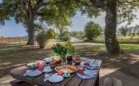 Casale le Tre Querce 8+1: Boom, Landschap, Meubilair, Buitenmeubels, Plain, Trunk, Picknicktafel, Buitentafel, Openluchtbank, Tuin