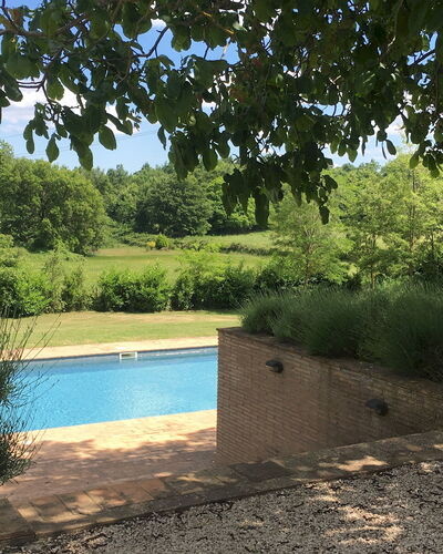 Villa Carmeli 12+2: Zwembad, Tuin, Schaduw, Backyard, Landscaping, Evergreen