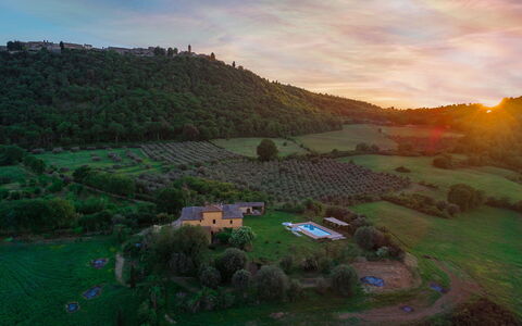 Podere Pratovecchio 14+2: Landschap, Landelijk Gebied, Grasland, Land Lot, Menselijke Nederzetting, Dorp, Veld, Plantage, Verblijf, Landgoed