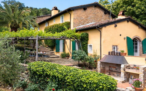 Villa Marraccini 8: Struik, Tuin, Verblijf, Schaduw, Hacienda, Landgoed, Backyard, Eco Hotel, Landscaping, Werf