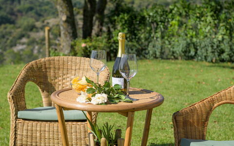 Casale Tavernelle 6: Meubilair, Buitenmeubels, Stoel, Tafel, Buitentafel, Wicker, Tuin, Beits, Patio, Koffietafel