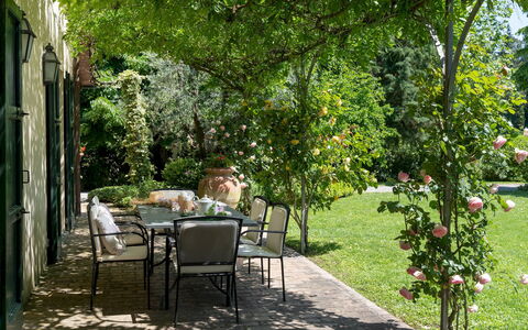 Villa Paesante 8: Groen, Blad, Vegetation, Tuin, Struik, Plantengemeenschap, Schaduw, De Lente, Groundcover