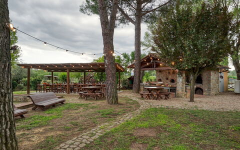 Podere Giardino 16+2: Boom, Hout, Meubilair, Schaduw, Buitentafel, Buitenmeubels, Trunk, Picknicktafel, Bank, Outdoor Structuur