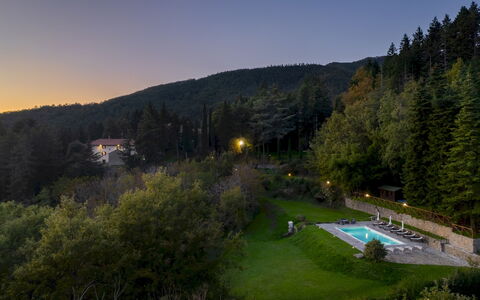 Villa la Rassinata 8: Landschap, Woud, Heuvel Station, Lariks, Jungle, Landscaping, Tropische En Subtropische Naaldbossen, Evergreen
