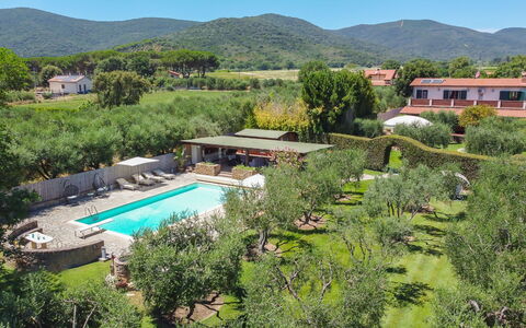 Villa Castiglione 9: Toevlucht, Zwembad, Eco Hotel, Tuin, Hacienda, Landgoed, Boerderij, Landscaping, Schaduw, Villa
