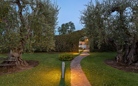 Villa Castiglione 9: Blad, Gras, Natuur, Afdeling, Struik, Tuin, Landschap, Trunk, Gazon, Landschap Verlichting