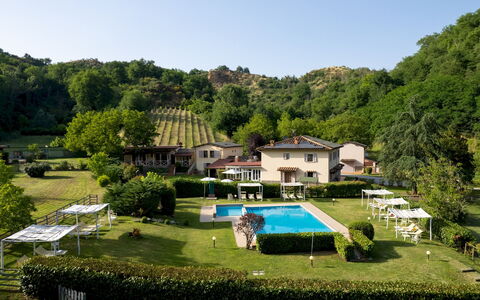Valleverde 28+2: Voedsel, Plantage, Backyard