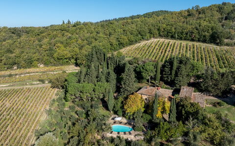 Castellare in Poggio 10: Vegetation, Landschap, Landelijk Gebied, Land Lot, Plantage, Landgoed, Dorp, Tuin, Landscaping, Eco Hotel