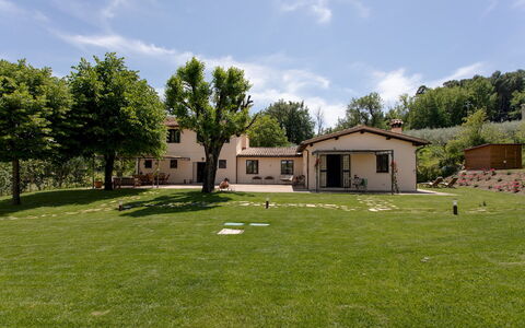 La Collina degli Ulivi 8+2: Gras, Huis, Landschap, Woongebied, Huis, Plain, Landelijk Gebied, Land Lot, Gazon, Verblijf