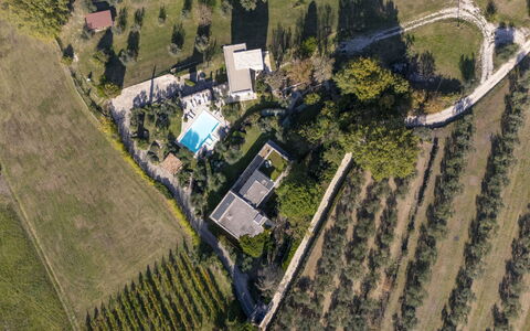 Brightline Villa 8: Boom, Woongebied, Vogelperspectief, Landschap, Zwembad, Luchtfotografie, Stedelijk Ontwerp, Landgoed, Landscaping, Voorstad