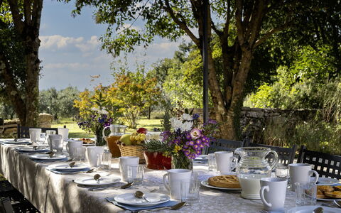 Il Castellare 14: Tableware, Meubilair, Tafel, Tafelkleed, Serveware, Drinkware, Tuin, Dishware, Buitentafel